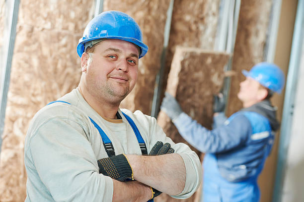 Best Types of Insulation in Farley, IA